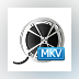 Bigasoft MKV Converter