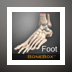 BoneBox-Foot