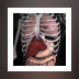 Anatomy 3D Organs