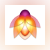 Flare 2
