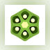 Okra