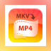 4Video MKV MP4 Converter