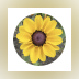MesaExif