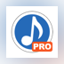 Music Converter Pro