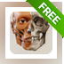 3D Anatomy for the Artist
