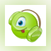 IMCapture For Skype
