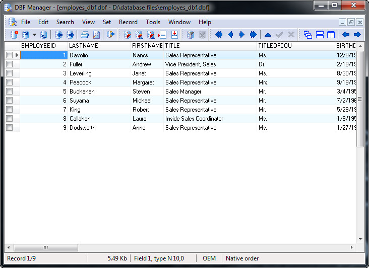 How to Convert Text File to DBF with DBF Manager