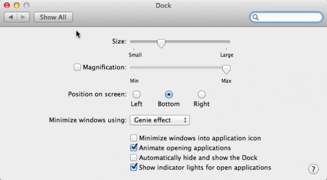 Dock Settings