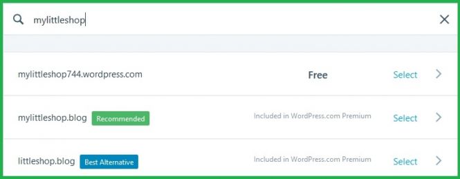 Selecting WordPress Website Name