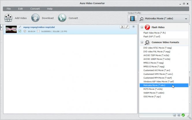 Output Format Selection