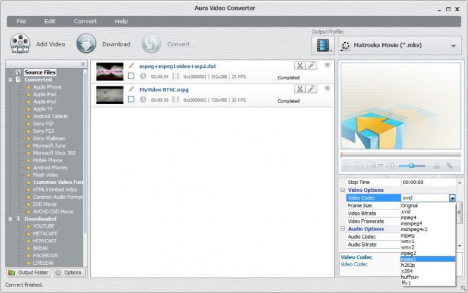 Output Customization