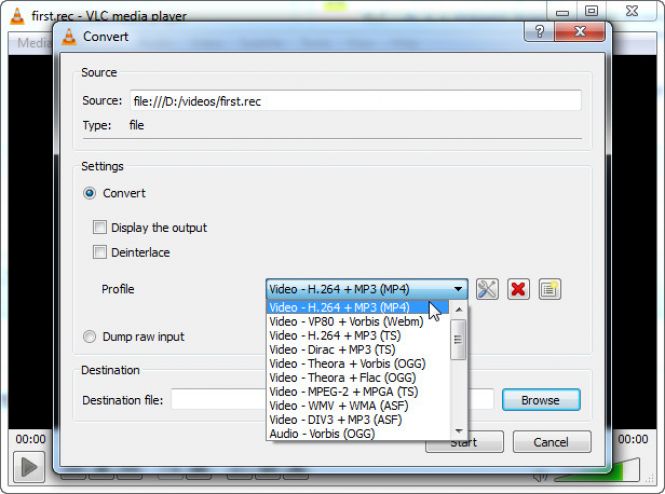Choose MP4 as the output format