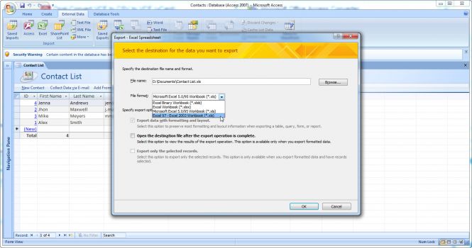 Excel Format Selection